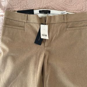 Banana republic Sloan pants brand new crop